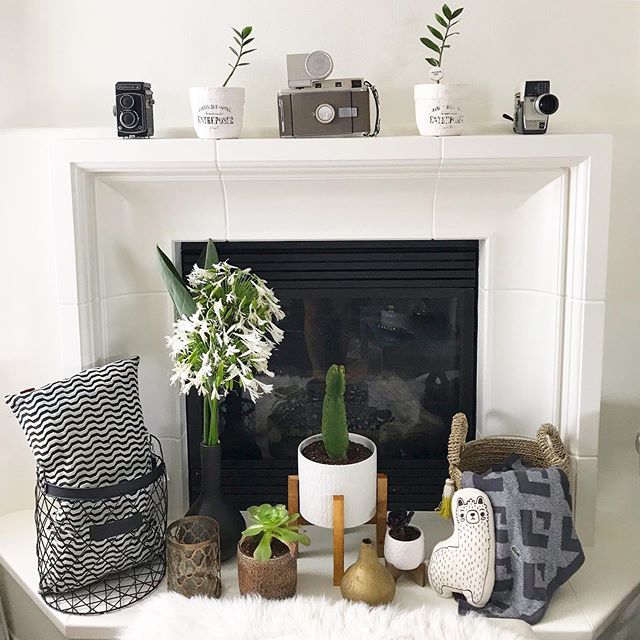 rossanavanoni's tweet photo. Adding a little summer vibes to my favorite corner! #HomeDecor #VanoniStyle
🛒 ➡️ https://t.co/olojY24pek https://t.co/MKMz0QxNfs https://t.co/bEtbLgmqyf