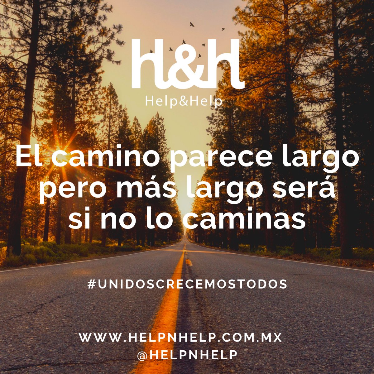 helpnhelp's tweet photo. ¡A veces el camino parece más largo de lo que es, únete y recorre el camino con nuestro equipo!
DM para más info.
#unidoscrecemostodos #gentebuenahaciendocosasbuenas #solossomosunagotaunidossomosuntsunami #helpnhelp #helpnhelpmexico #helpnhelpcancun #helpnhelpmorelos https://t.co/uTVGNXwsoI