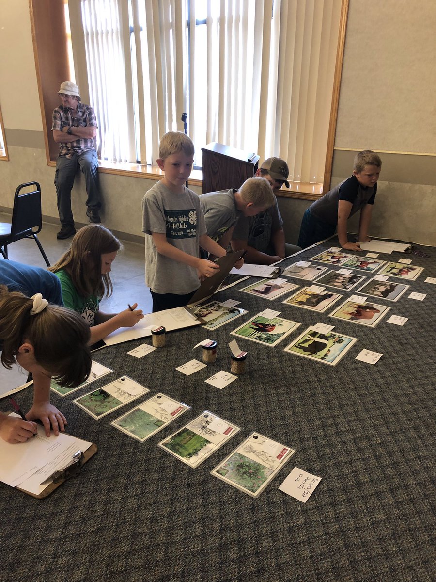 frontier_ksre's tweet photo. 🌻🍀🌻 More Osage County 4-H members participating at Melvern Sunflower Days. #Kansas4H #FrontierDistrict #MelvernSunflowerDays https://t.co/CwEJhTjeEG