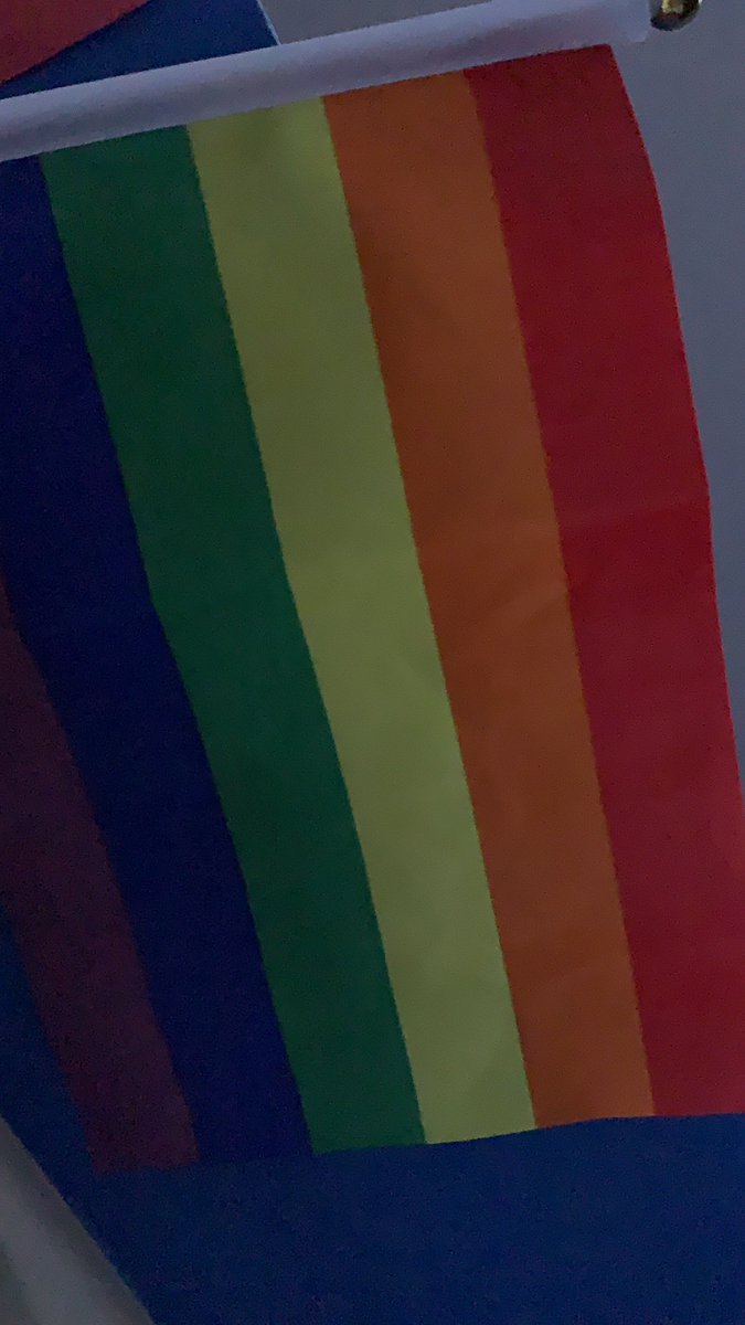 CourseChanging's tweet image. Fam coming over tomorrow, so will be putting the #pride #flag away 😕    No more #rainbow