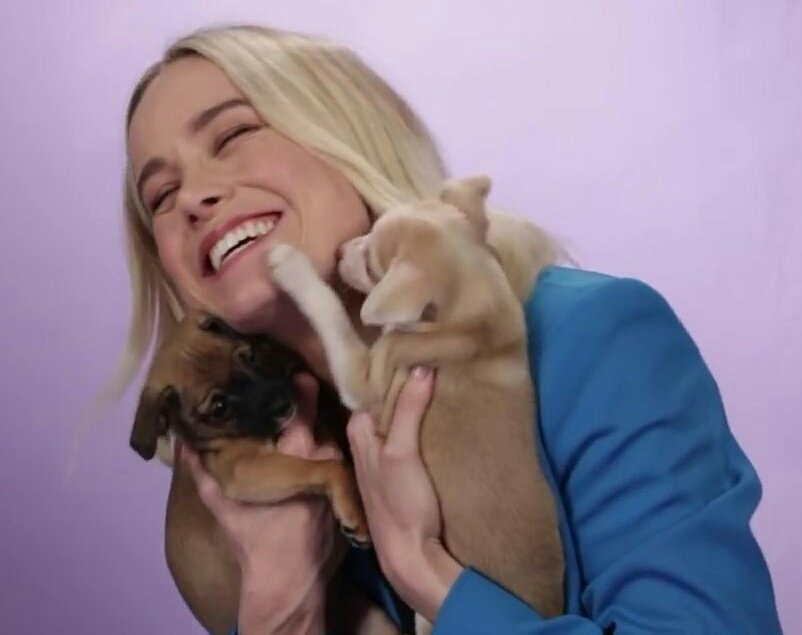 RespectBrie's tweet photo. Brie Larson is a gift to this world and she needs to be Protected at all costs #LoveforBrie #RespectBrieLarson #WeloveBrie https://t.co/uZY5JGZUQx