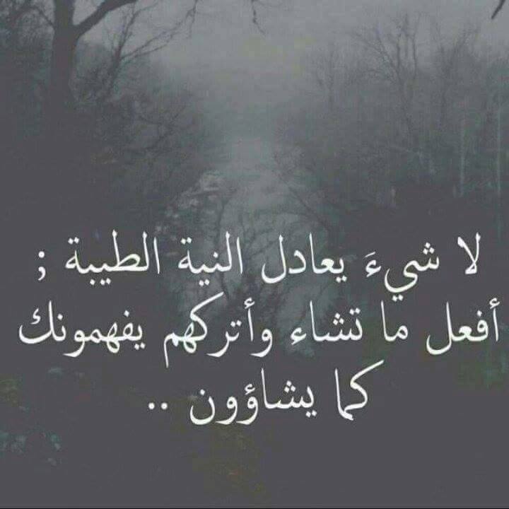 لاتهجر احدا ولكن لاتمسك بيدا من اراد الرحيل🐅🦁❤ (@ahmadjomal) on Twitter photo 