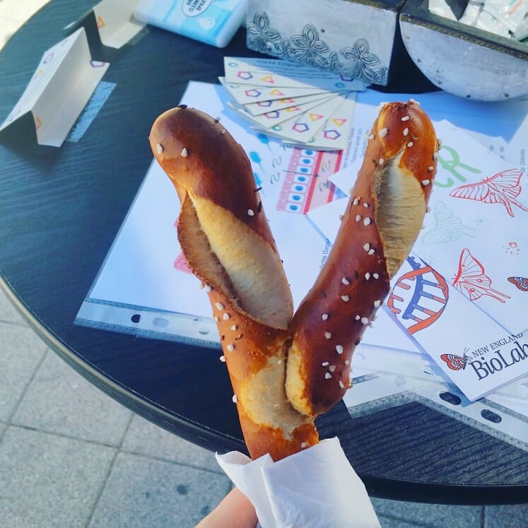 Today we presented our project at the Hugenottenplatz in Erlangen to the public on the occasion of the day of immunology🔬 
We talked with many people about our bite and iGEM in general.
The pretzel in form of an antibody was really cool and delicious 😍😎
#doi #immunology #igem