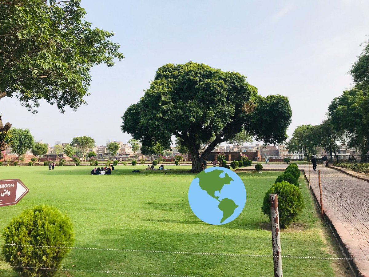 Absolutely gorgeous twin trees (50 ft apart) at the Lahore Fort, almost of the same age. They must have seen so much.