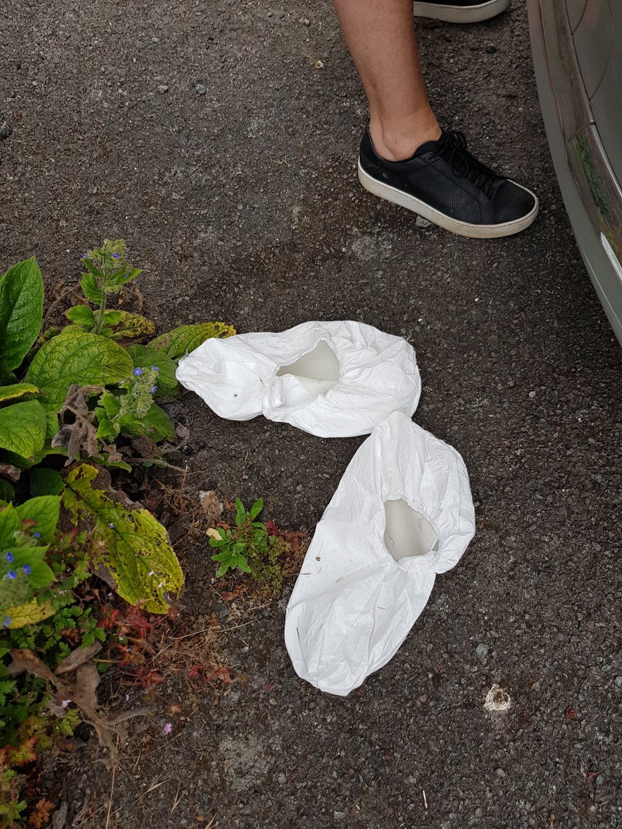 Just found these outside the load in of tonight's gig , interesting night ahead