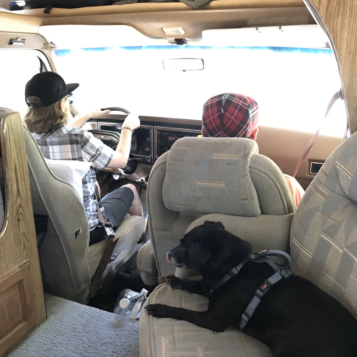 abandontheory's tweet photo. Abandon Theory on the road this holiday weekend! #abandontheory #roadtrip #music #originalsongs #norcalmusic #musician #instamusic #goodmusic #liveshow #liveperformance #show #singer #rockshowready #followme #supportlocalmusic https://t.co/7CBEYzCqB1