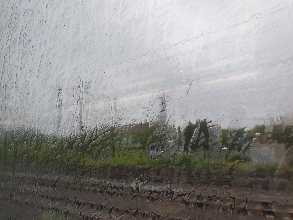 Still trying to figure out what feeling triggers the need in me to listen to Duality, like crazy loud! No pattern so far.
Enjoying my vacation already.