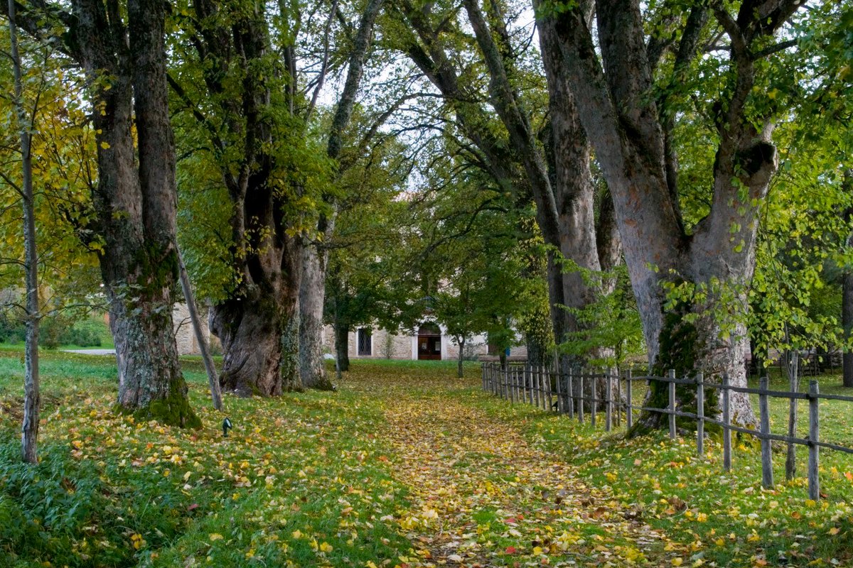 Da oggi il Parco #OldCalabria - #TorreCamigliati e il Museo Narrante dell'#Emigrazione/#immigrazione <a href="/laNavedellaSila/">La Nave della Sila</a> sono aperti al pubblico ogni #sabato e #domenica di #luglio.
#6luglio #Calabria #Italia #vacanze #cultura #Storia #natura #Ambiente #meraviglie