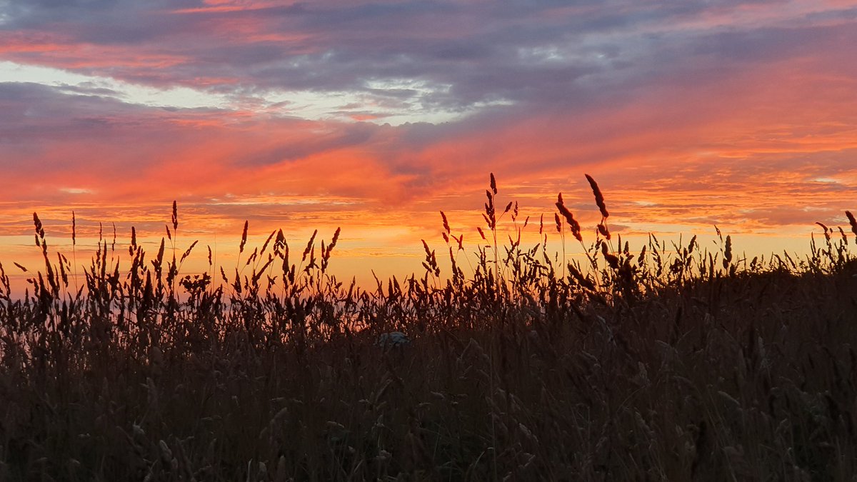 David_CWM's tweet image. Last night's sunset drive from Boscastle to Tintagel - spectacular. Tonight looks like it could be good too 🤞😎