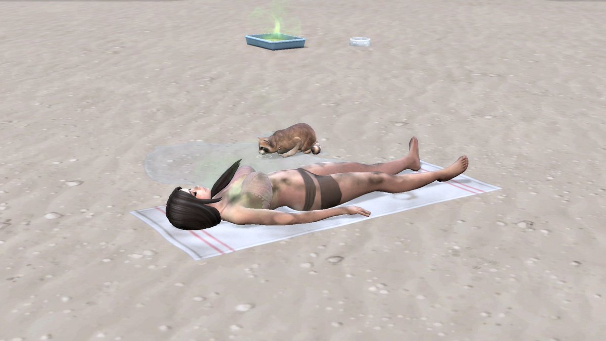 SimsByFairy's tweet image. I&apos;ve started the Off the grid challenge (very hard mode) and it&apos;s not really going that well...My cat is drinking my pee, and I have to sleep on a dirty towel. #thesims4 #Antoniaontheisland #offthegridchallenge