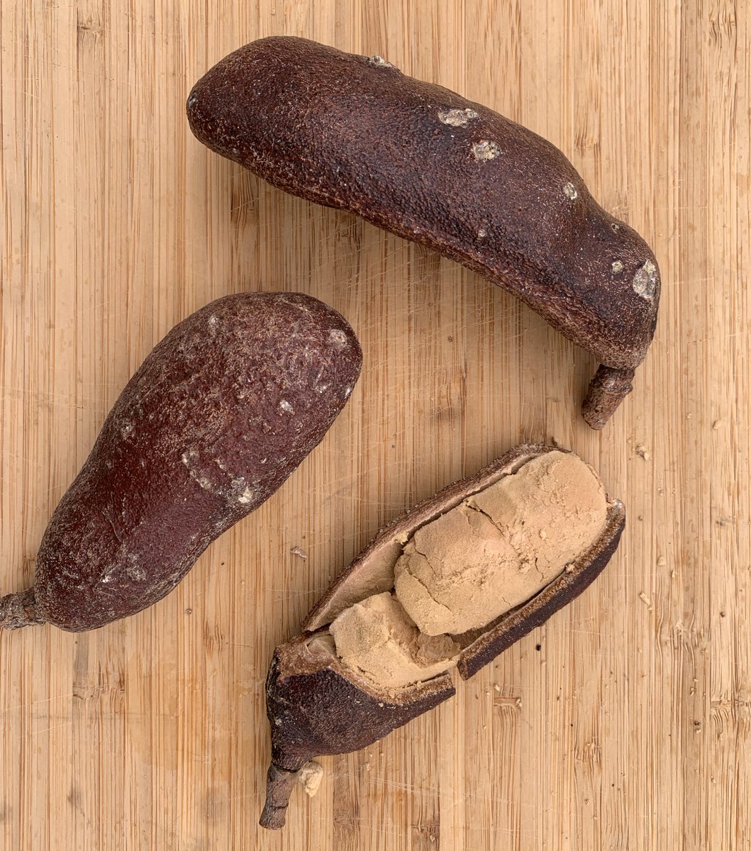 LA ALGARROBA Propiedades, Beneficios, Calorías y