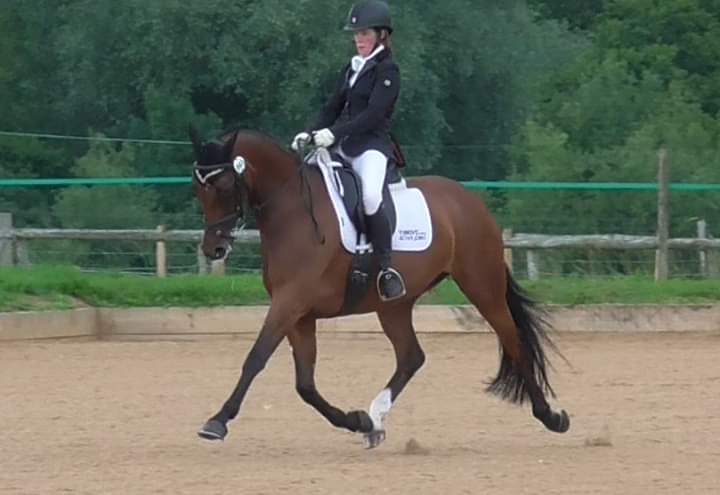VetGoneEventing's tweet photo. Fab afternoon at Burrows Court for BD with Flicka winning both M63 on 71.37% and M75 on 69.05% 🥇🥇 hopefully good prep for Regionals next weekend 🤞🤞#winnerwinnerpizzadinner @lintbellsequine #Yumove #ActiveJoint https://t.co/sFyhS7vPS5
