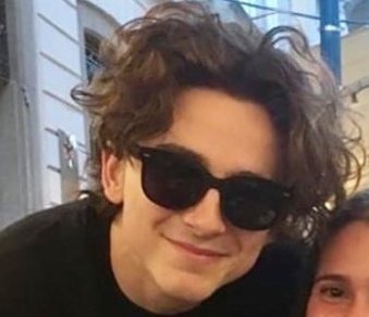 Timothee Chalamets Hair On Twitter Not Bob Dylan But