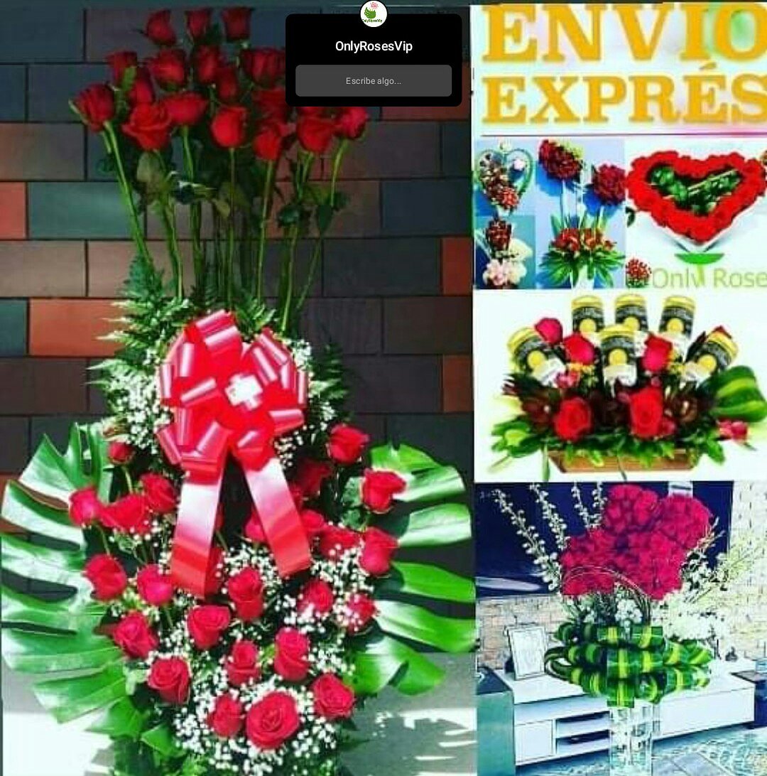 OnlyRosesVip's tweet photo. @vendelopty Saludos  mi gente. su  #arregloderosas #floristeria24horasenPanamá #rosasparaellas #like4like online  67751514 #chekeapanamá #arreglosfloralesenpanama  #follow4followback #floristeriaenpanamá  #regalosenpanama #pty #regalospersonalizados #Panamá  #emprendedor RT https://t.co/fqQpSOfvjf