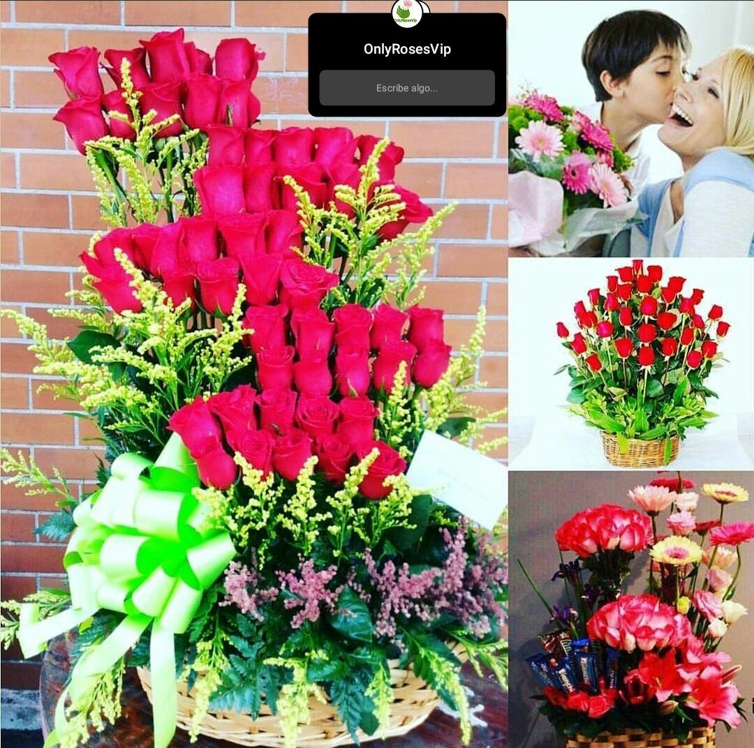 OnlyRosesVip's tweet photo. @vendelopty Saludos  mi gente. su  #arregloderosas #floristeria24horasenPanamá #rosasparaellas #like4like online  67751514 #chekeapanamá #arreglosfloralesenpanama  #follow4followback #floristeriaenpanamá  #regalosenpanama #pty #regalospersonalizados #Panamá  #emprendedor RT https://t.co/fqQpSOfvjf