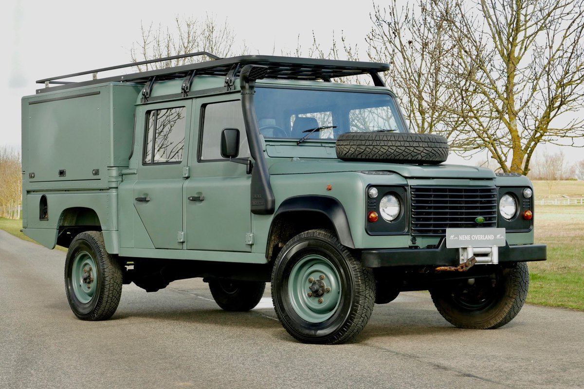 Nene Overland tweet media