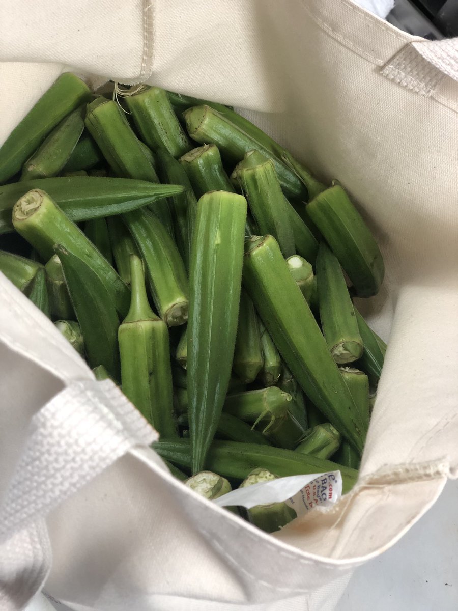 Texas okra for <a href="/DunlavyHouston/">The Dunlavy</a> Market vegetable