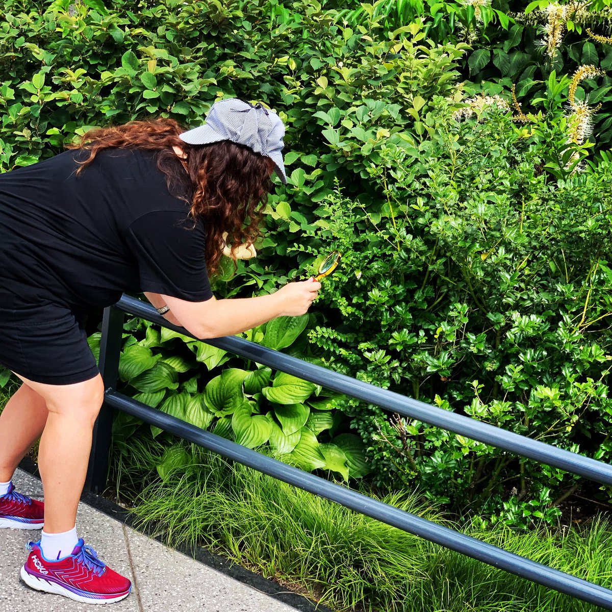 Sarahlynn Lester tweet media