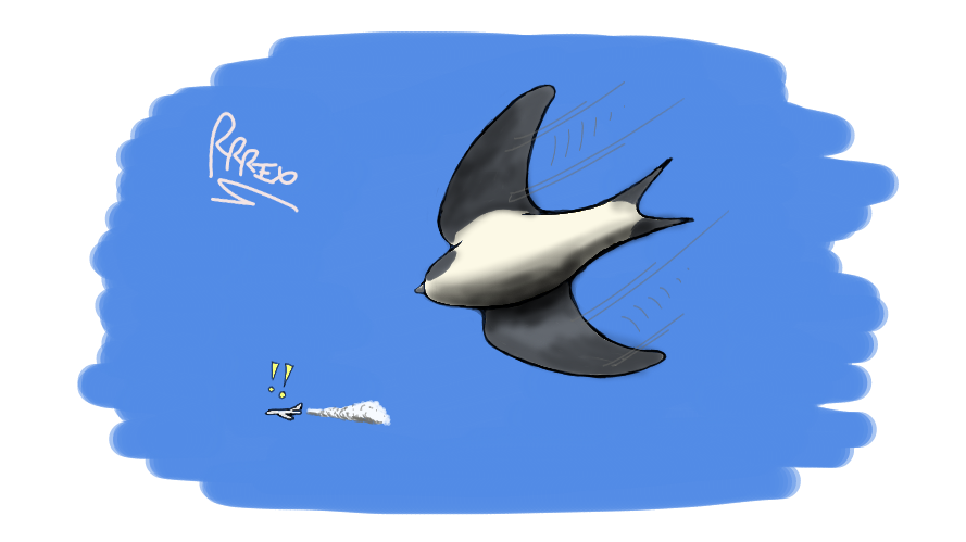 Sonic Riproarrex Tried to take some photos of sone flying housemartins yesterday. Took a ...