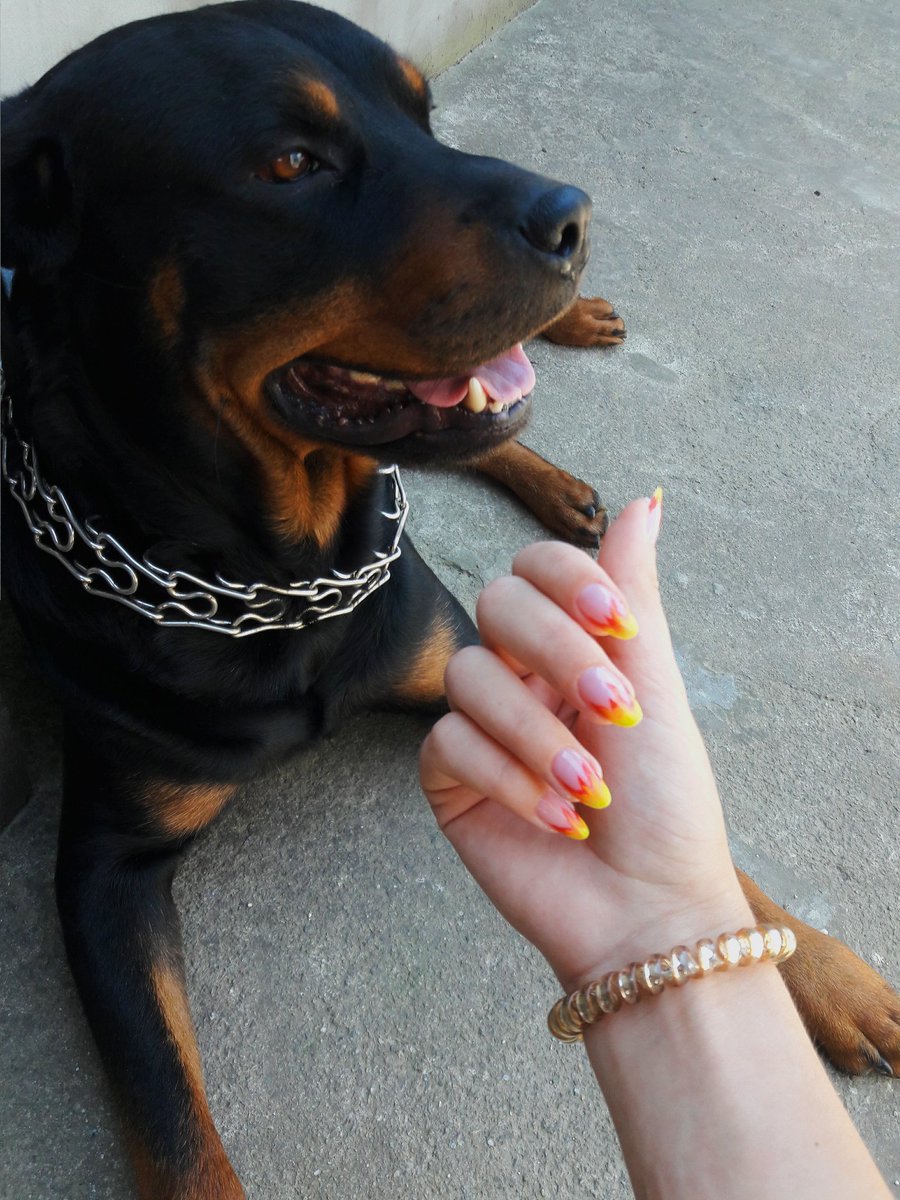 Забыла выложить и в тви свой новый маникюр 💅