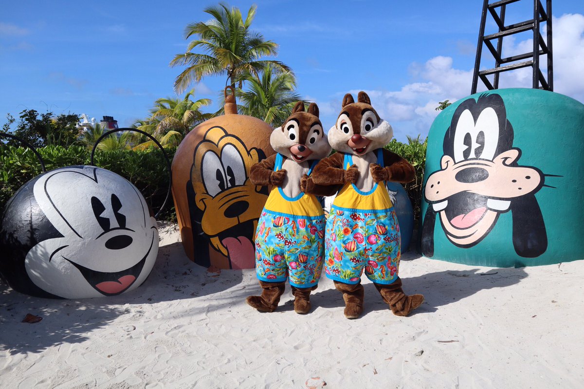 360DegreesofDis's tweet photo. #ChipnDale on #CastawayCay! #Chip #Dale #ChipandDale #MountRustmore #DCL #DisneyCruise #DisneyCruiseLine #DisneyDream #Dream17 #チップ #デール #チップとデール https://t.co/2T7f5JHl6J