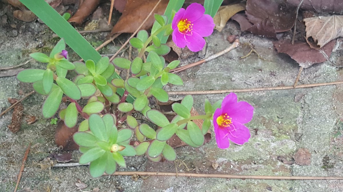 monicalfh's tweet image. ahhh, summertime