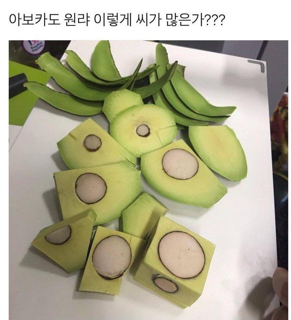 단조 tweet media