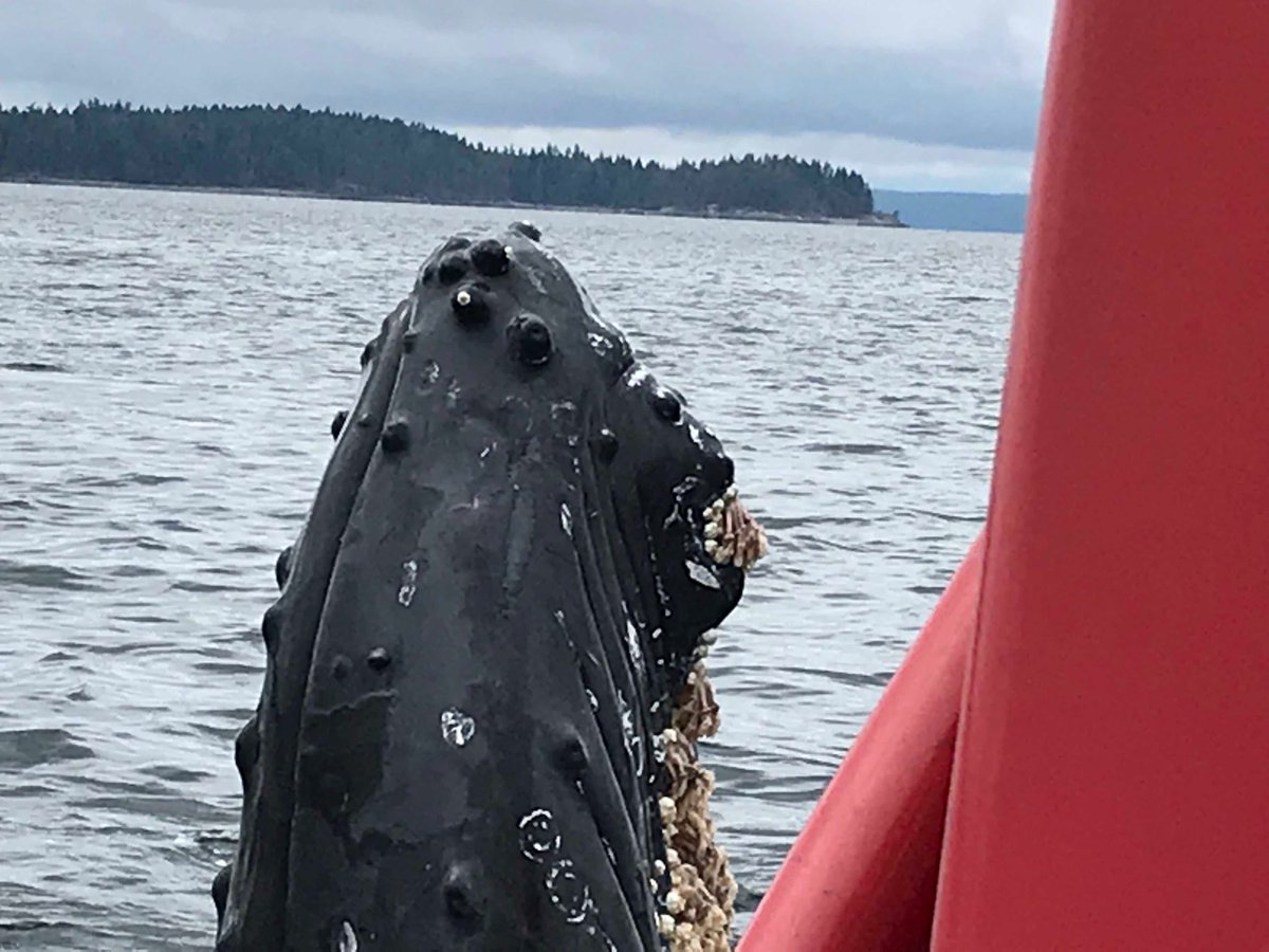 Perfect day#island life