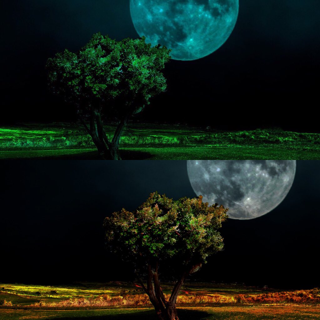 BldgStax's tweet photo. Green or red? @Career_Karma #Ps #design #newbie #imhere #bldgstax #color #graphics #uidesign #lovingthis https://t.co/5LiYUfiVC8