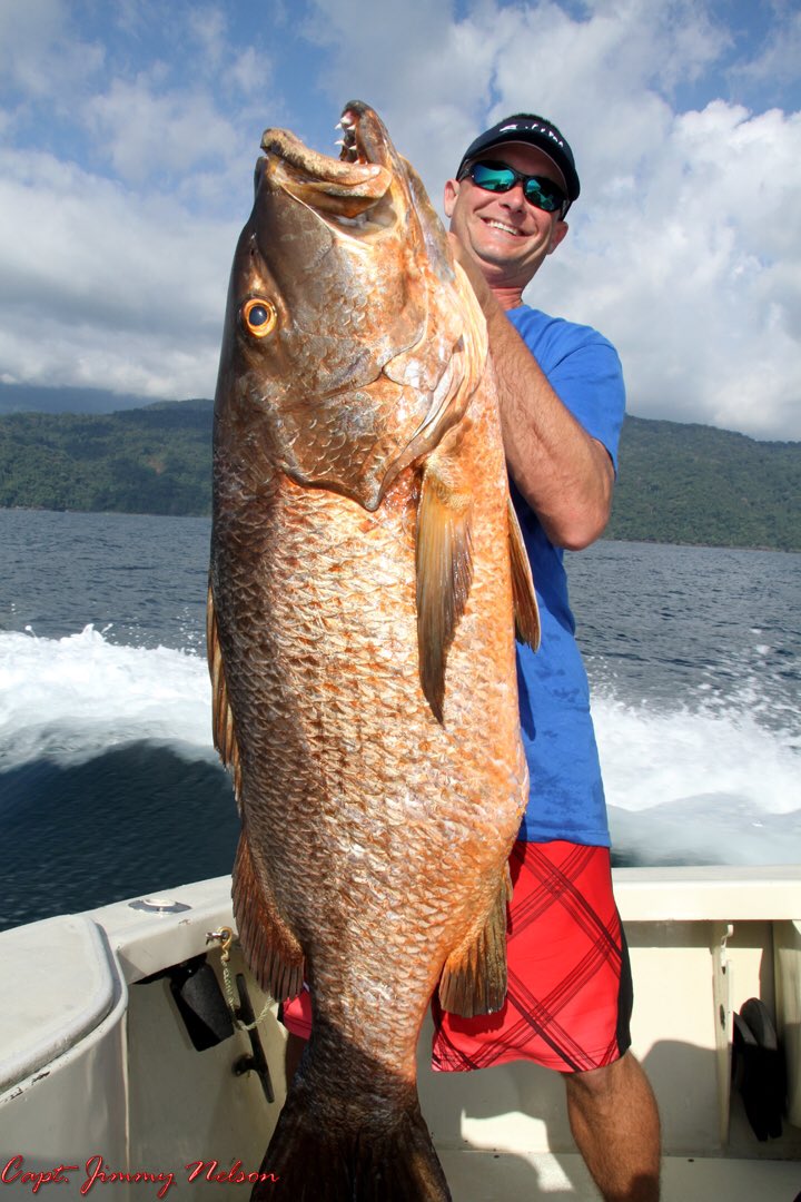 CaptJimmyNelson's tweet image. Certified beast!
@FishinwithLuiza 
@RealSaltLife @HISEASofficial @ACRARTEX @BassProShops @CaptJimmyNelson #livinthedream #cuberasnapper #captjimmynelson