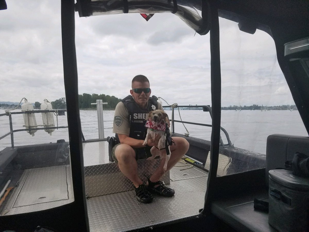 Maggie_Vespa's tweet image. Meet Ollie, the very good doggo who survived falling off a sailboat on the Columbia today because he wore his life jacket!! 🐶🌊❤️

Hats off to @ClarkCoSheriff for fishing him out of the water &amp;amp; bringing him back to his owners 👏👏👏