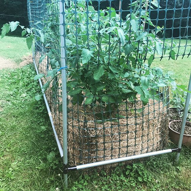 Maker Pipe tweet media