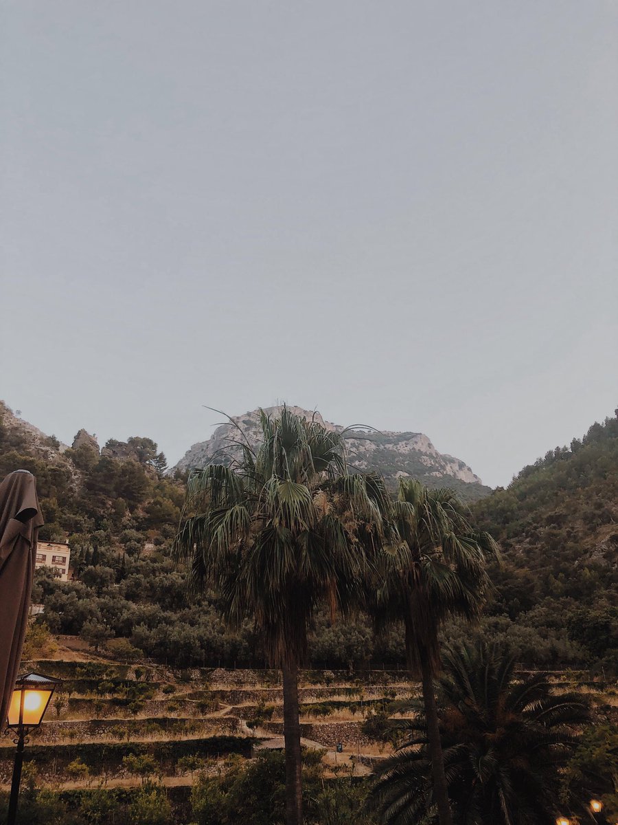 EthanRamirez11's tweet photo. Mallorca, Spain📍😻 https://t.co/heSx5j4vCL