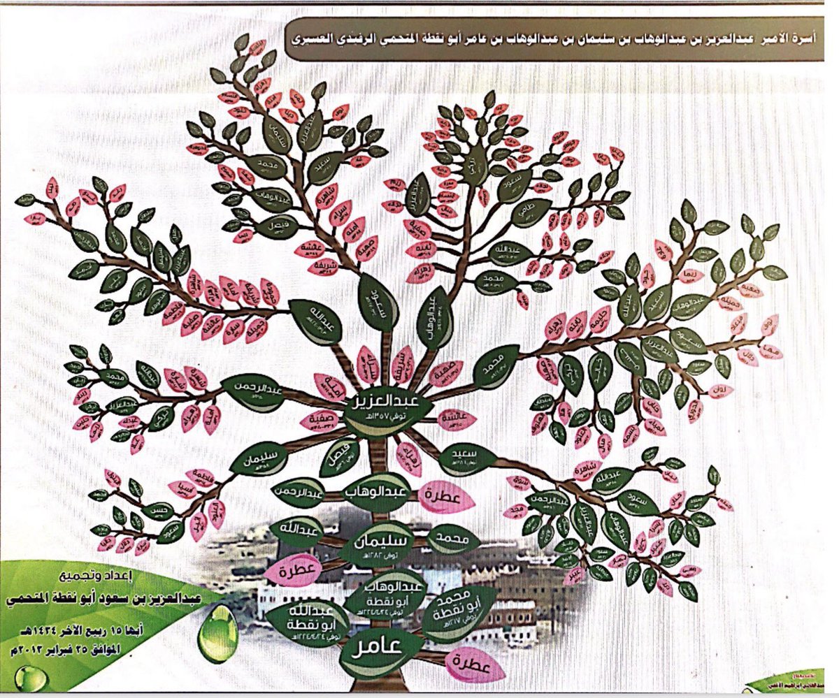 قبيلة عسير tweet media