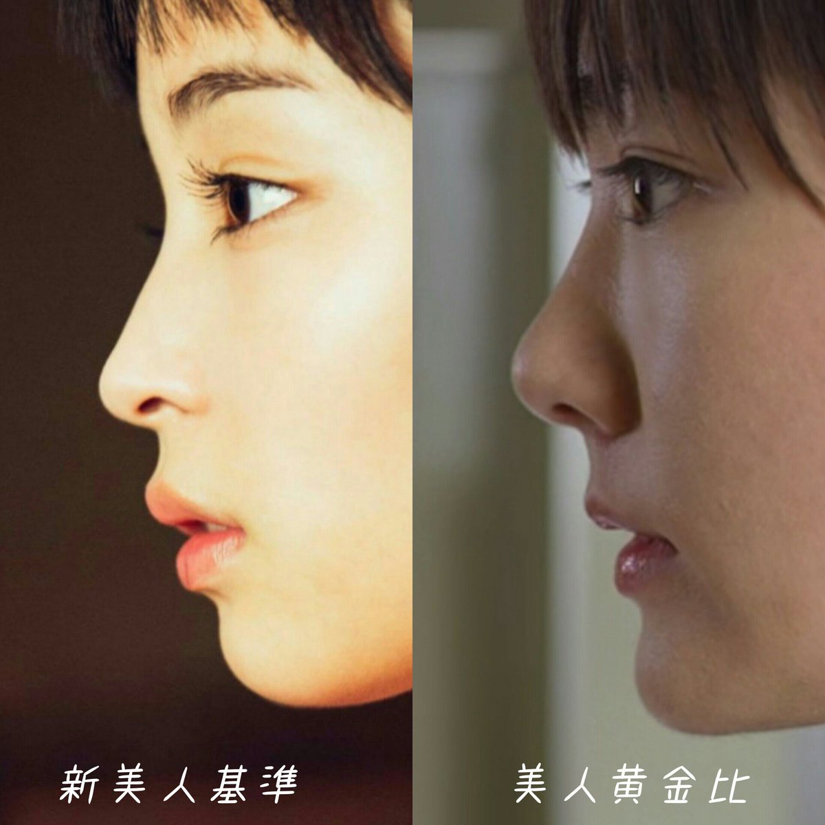 パステルしこめ 2nd 今まで美人黄金比が基準とされてきましたが 顔を3分割した 際にすべて均等な長さというのは 欧米人のように立体感のある顔には合いますが 日本人のようにのっぺりした造形だと顔が長く見えます 最近の研究では 日本人は鼻下から顎先