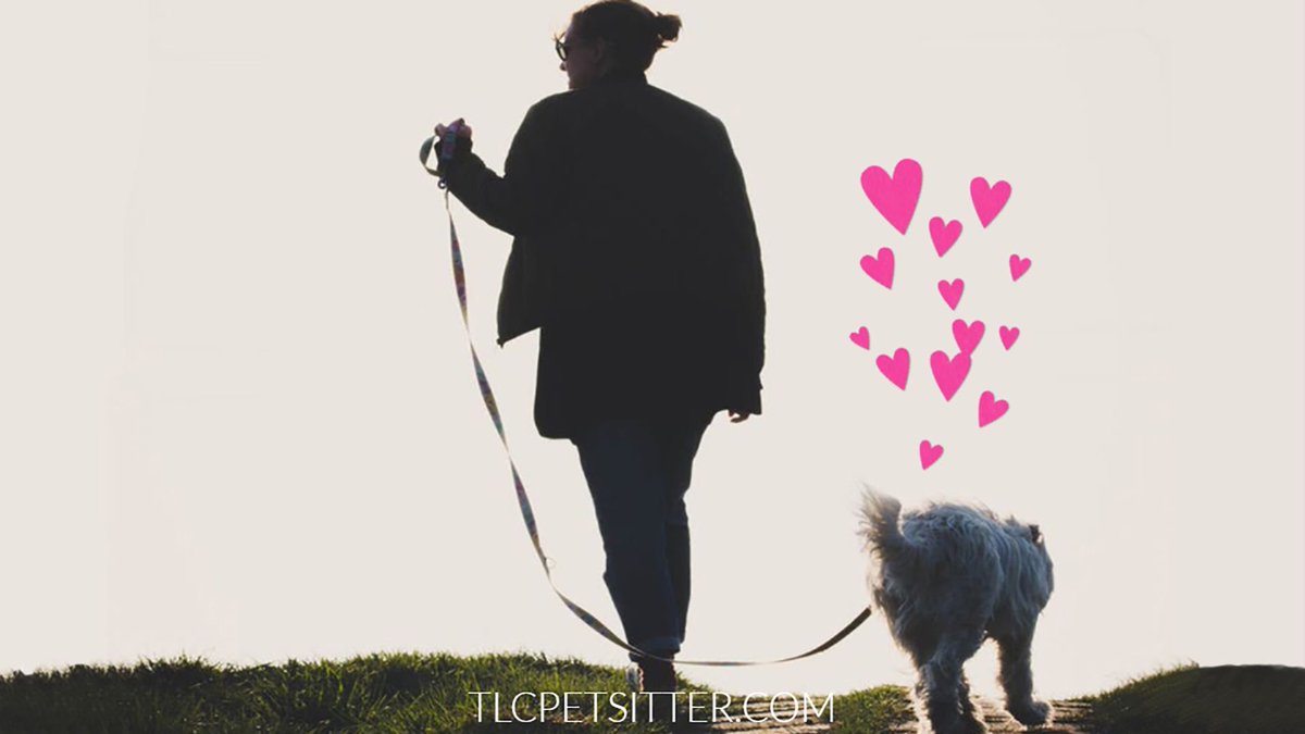 TLCpetsitter's tweet photo. It's a good day to take a walk with a friend.
#petsitterofaz #dogwalker #dogsofgilbert #dogsrule #scottsdale https://t.co/34TMMEsdJj