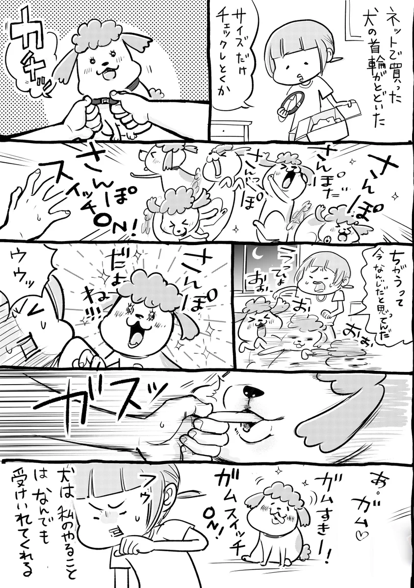 犬と猫どちらも飼っていると信頼関係のかたちも様々ww