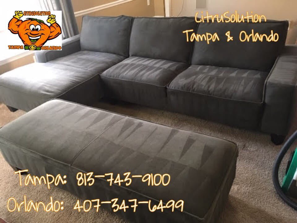 McCitrusolution's tweet image. #CitruSolution 💪🍊