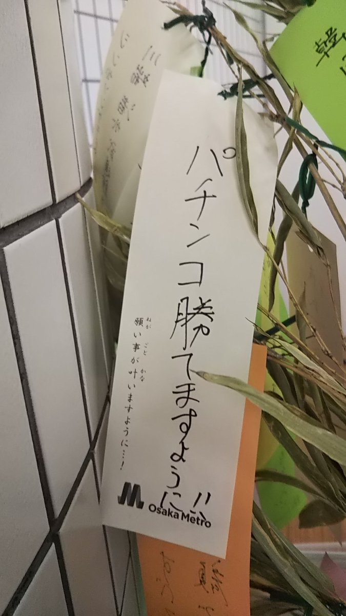 違う家族だろうけど、同じ場所にあった切ない願いの短冊。

#七夕の願い事 