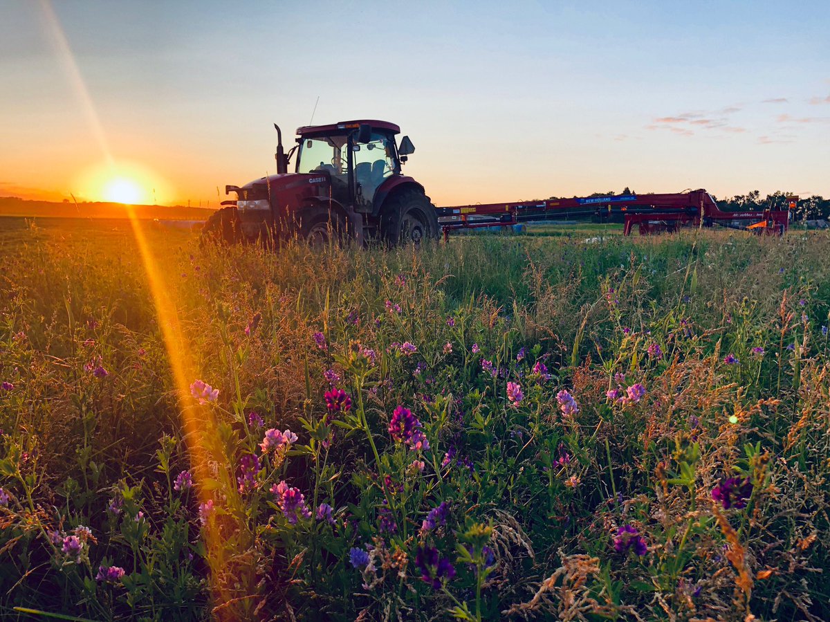 overby_ranch's tweet image. A good day for #hay19 🚜🌾