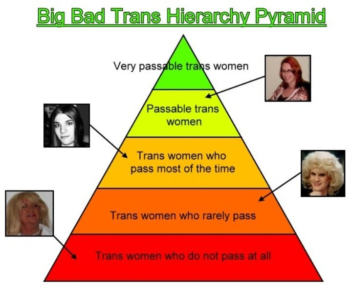 transphobes's tweet photo. @WeRWorld @animaginarynail @felix_desmarais @CateSpice @aniobrien Such as the time on LiveJournal when you produced a hierarchical graphic to mock the appearances of other trans women and trans femmes for being more visibly trans than you felt you were. https://t.co/uN13gTgGtD