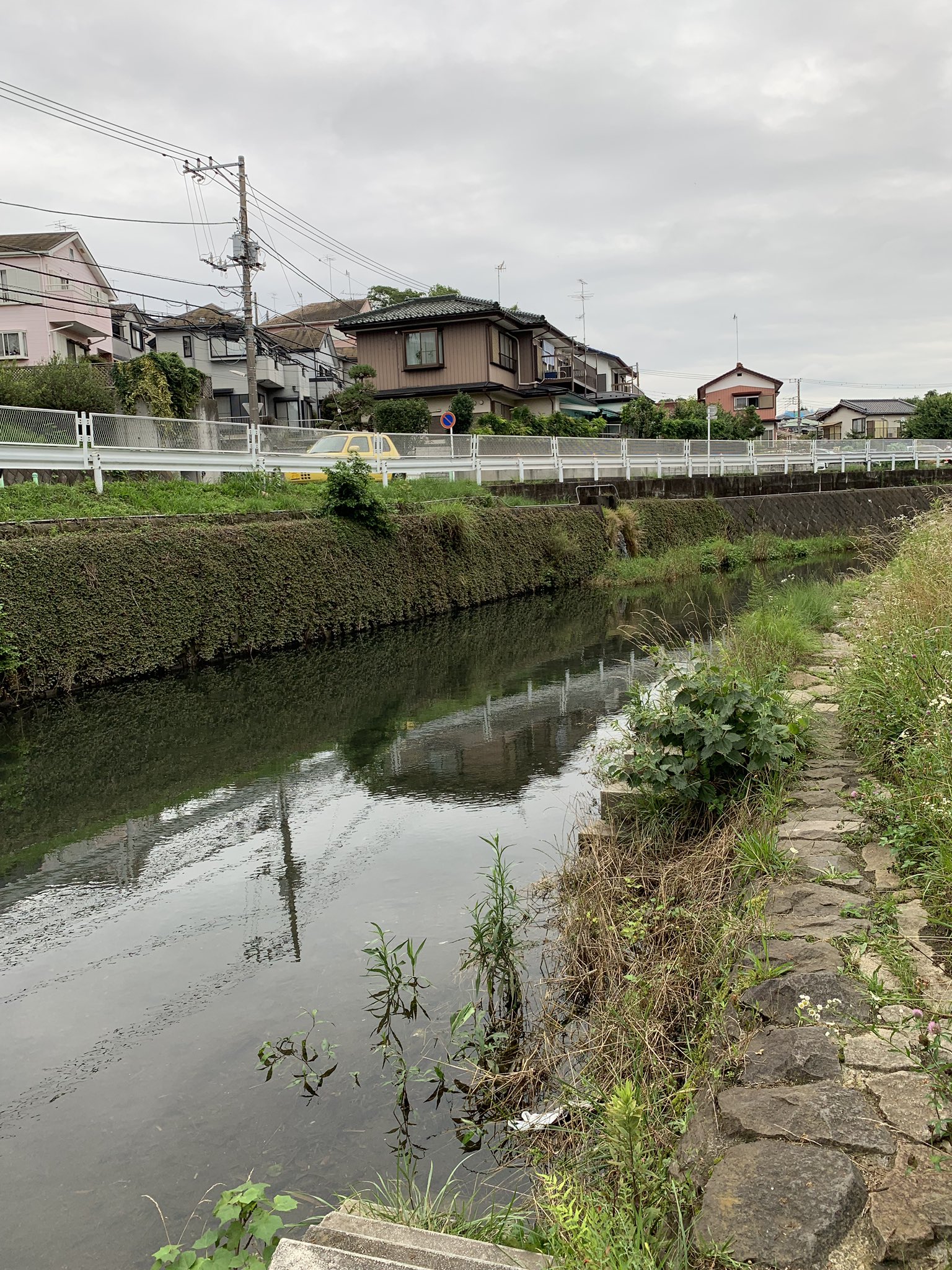 きのこ 昨日 いつもの川でテンカラ釣りで毛鉤に挑戦 半信半疑だったけどホントにオイカワちゃんが釣れた 釣り人の間では新しい竿で1匹目を釣り上げる事を 魂が入った と言うらしい オイカワ テンカラ T Co I7gt2nkxfm Twitter