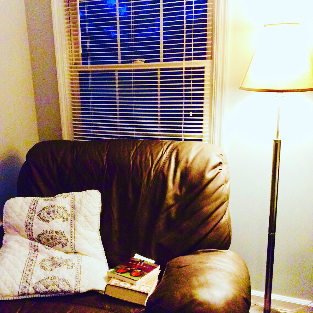 The incomparable warmth of a reading nook 😍😍

#reminiscingthereads