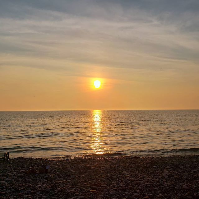 PyroNationUSA's tweet photo. Fireworks and a amazing sunset.... #pyro #pyronation #july4th #fireworks #party #sunset #sun #fireworksshow #beach #waves https://t.co/5LxP9sqjZw https://t.co/YZu54xZbEx