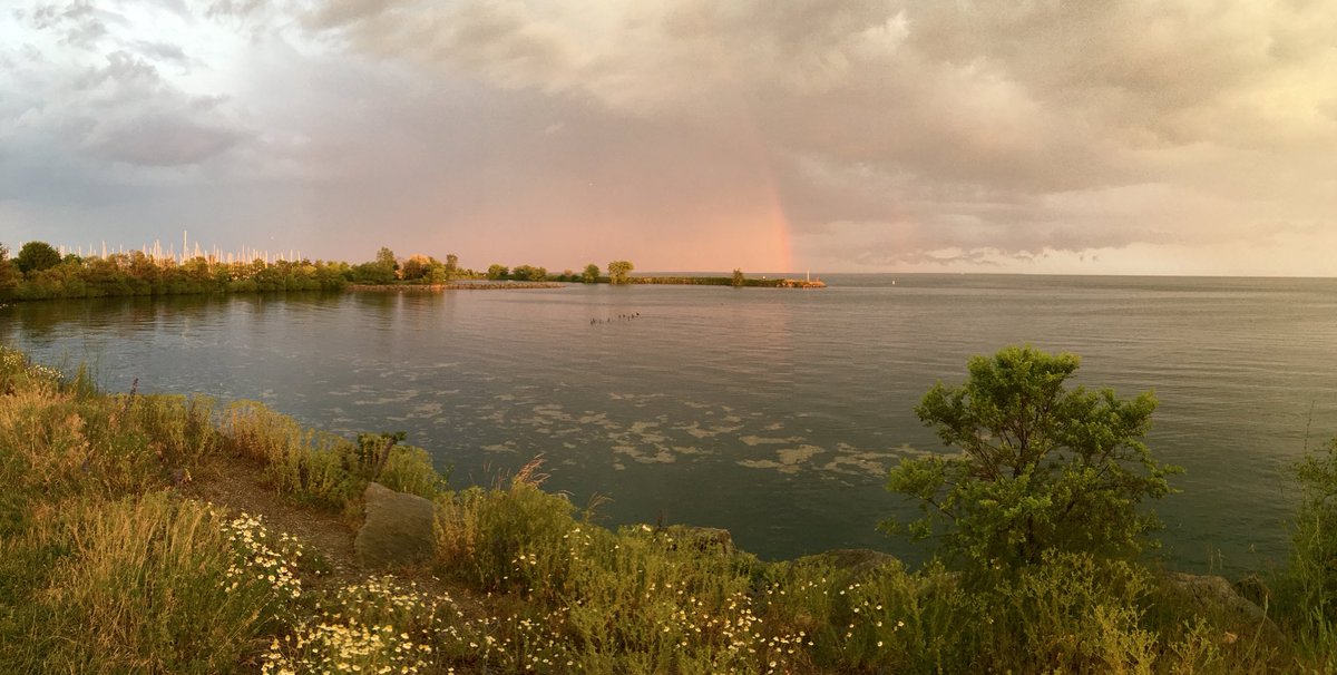 Before the welcome rain came this evening on a bike ride through #colonelsamuelsmithpark. #LongBranchTO #EtobicokeLakeshore