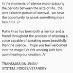 Photo by 𝑺𝒀𝑺𝑻𝑬𝑴..𝑽𝑶𝑰𝑪𝑬𝑺// (@systemvoices)