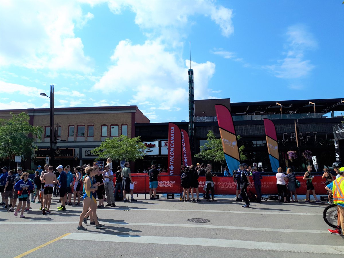 Mary Ann Murphy tweet media