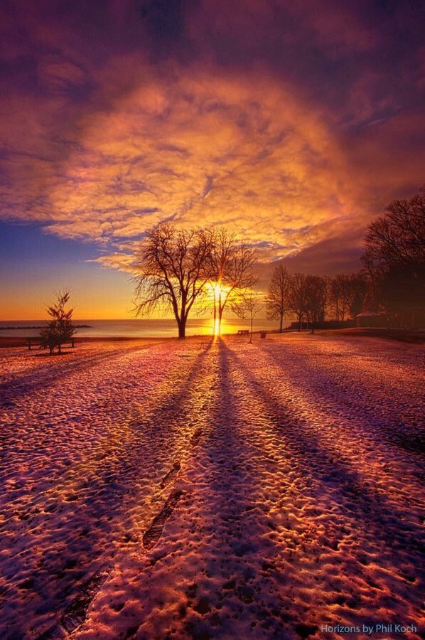 JeanetteEliz's tweet image. Goodnight Everyone &amp;amp; Sweet Dreams 💞🌺💕