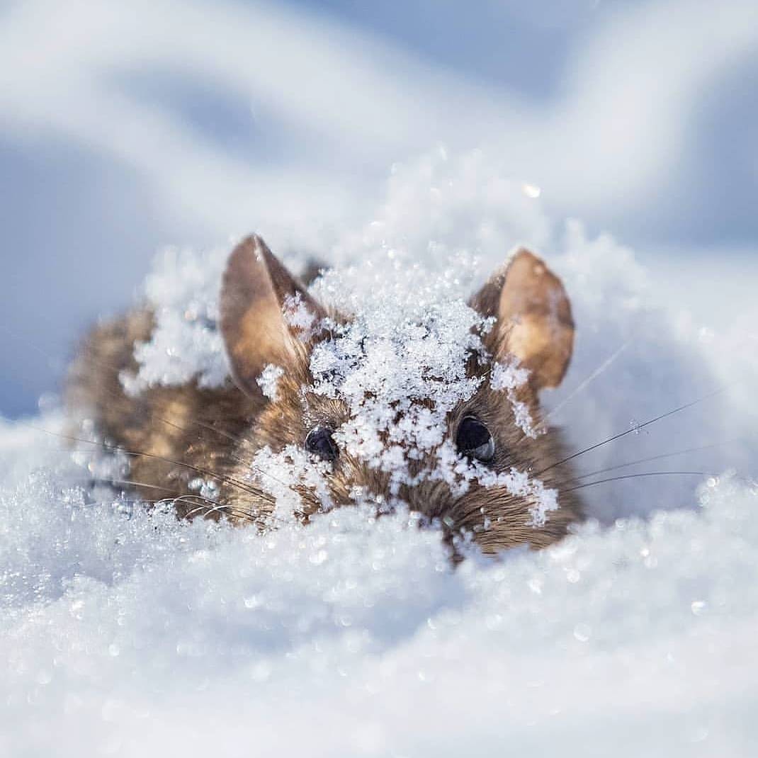 focuxa's tweet photo. In frame : Finland
Photography : soosseli
Collection : @focuxa
_________

#focuxa https://t.co/7a6LyGnpzW