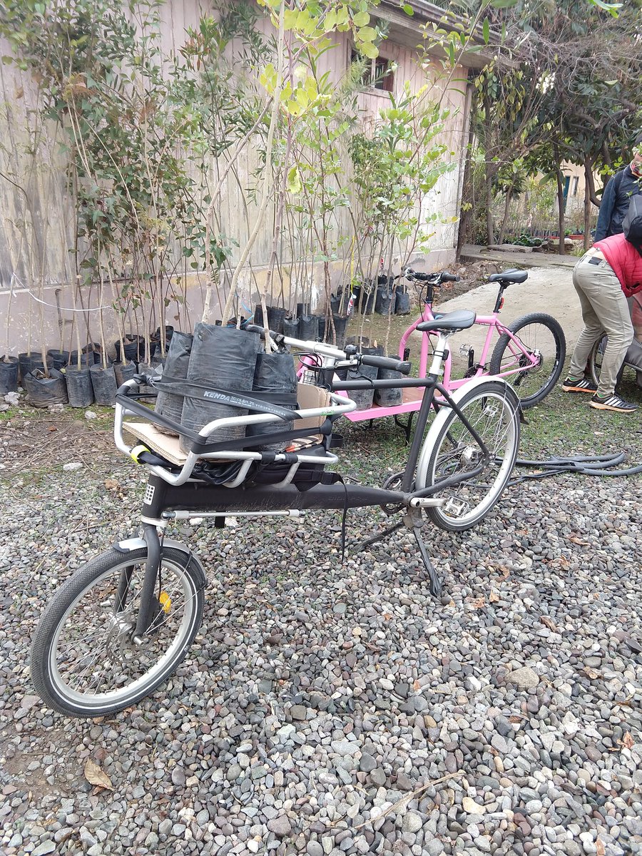 CleteroAmb's tweet photo. Hoy estuve presente en Independencia ayudando en la #Arborización junto a diversas organizaciones con las que trasladamos los árboles en #Bicicleta 0% emisión excelente actividad y como dice un amigo por ahí #BonitoToo https://t.co/sJJMDh986i